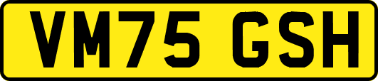 VM75GSH