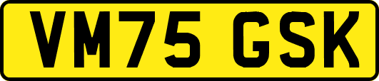 VM75GSK