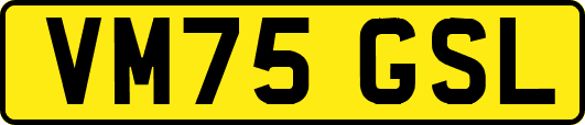 VM75GSL