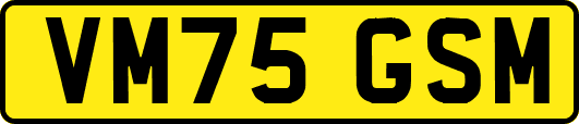 VM75GSM