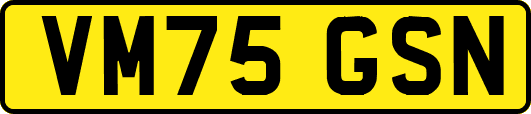 VM75GSN