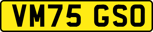 VM75GSO