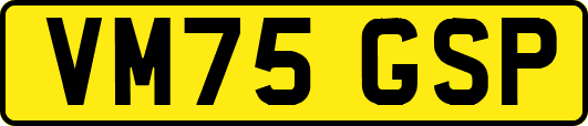 VM75GSP