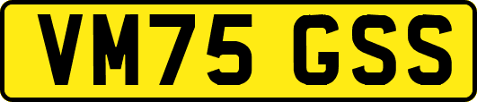 VM75GSS