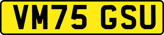 VM75GSU