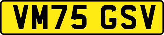 VM75GSV