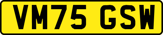 VM75GSW
