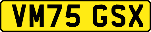 VM75GSX