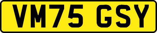 VM75GSY