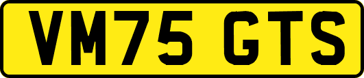 VM75GTS