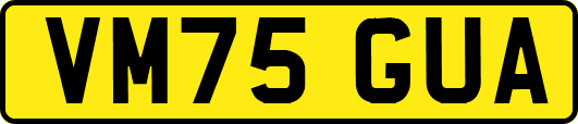 VM75GUA