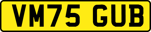 VM75GUB