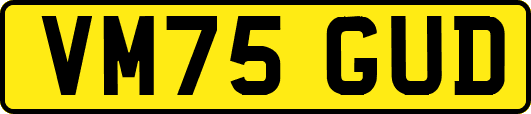 VM75GUD