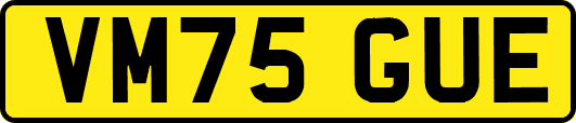 VM75GUE