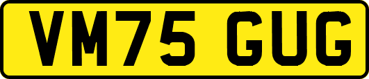VM75GUG