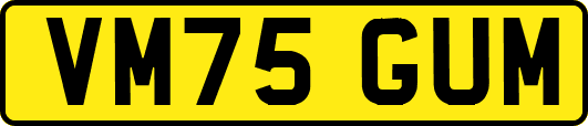 VM75GUM