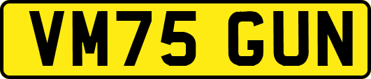 VM75GUN