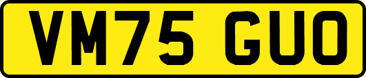 VM75GUO