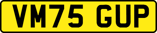 VM75GUP