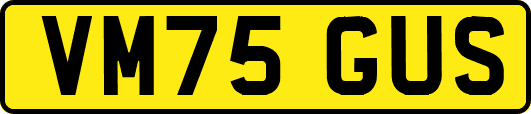 VM75GUS