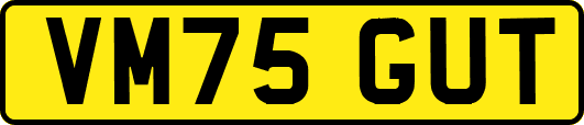 VM75GUT