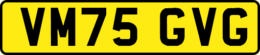 VM75GVG