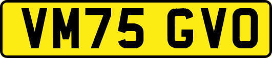VM75GVO