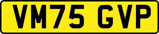 VM75GVP