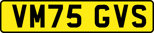 VM75GVS
