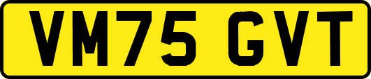 VM75GVT