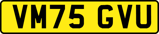VM75GVU
