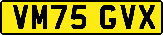 VM75GVX