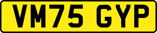 VM75GYP