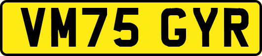 VM75GYR
