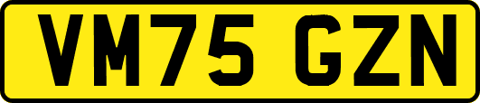 VM75GZN