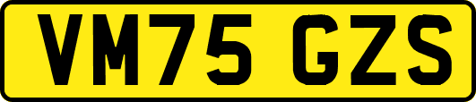 VM75GZS