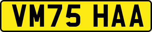 VM75HAA