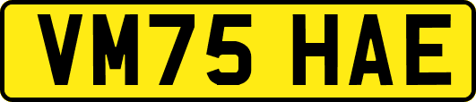 VM75HAE