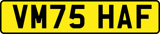 VM75HAF