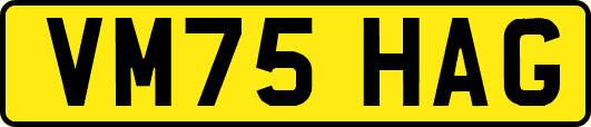 VM75HAG