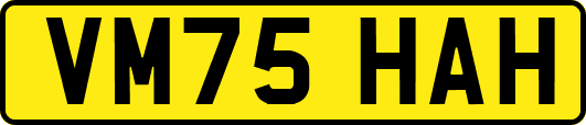 VM75HAH
