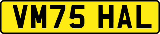 VM75HAL
