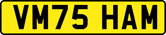 VM75HAM