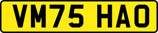 VM75HAO