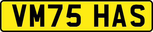 VM75HAS