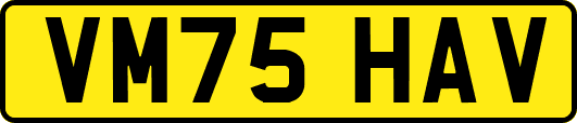 VM75HAV