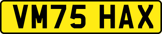 VM75HAX