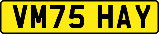 VM75HAY