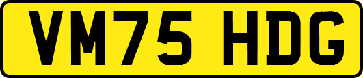VM75HDG