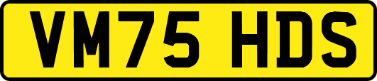VM75HDS